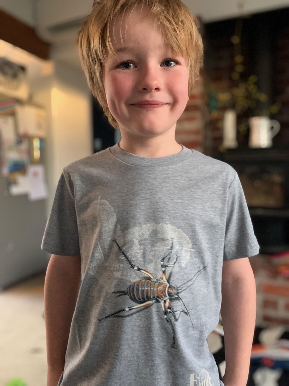 A happy kid wearing a grey marle Bluff Weta t-shirt in his lounge.