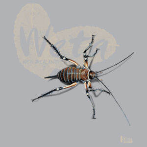 Weta t-shirt - Mens Block T shirt Design