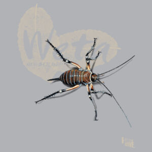 Weta t-shirt. - Womens Maple Tee Design