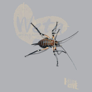 Weta t-shirt - Kids Youth T shirt Design