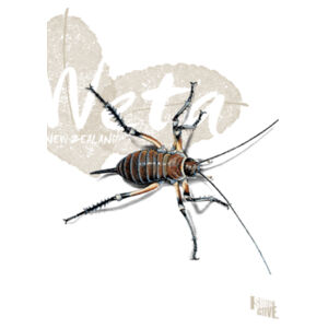 Weta t-shirt - Tea towel Design