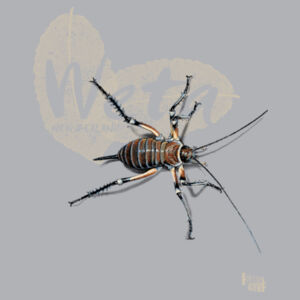 Weta t-shirt - Mens Base Longsleeve Tee Design