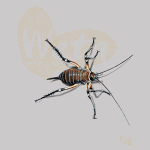 Weta t-shirt - Womens Dice Longsleeve Tee Design
