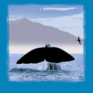 Whale tail Kaikoura - Mens Classic Tee Design