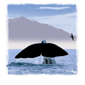 Whale tail Kaikoura - Mens General Long Sleeve Tee Design