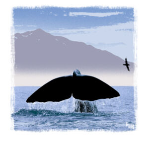 Whale tail Kaikoura - Womens Curve Longsleeve Tee Design