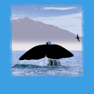 Whale tail Kaikoura - Infant Tee Design